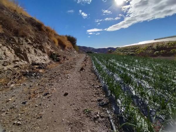 Terreno en Algarrobo