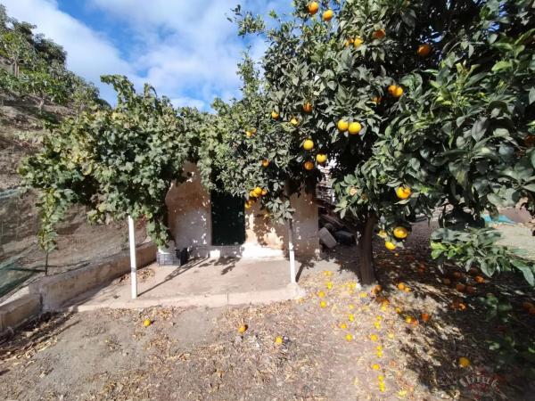 Terreno en Algarrobo