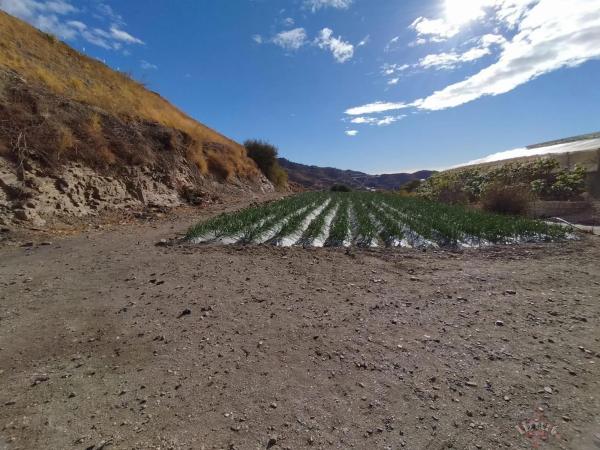 Terreno en Algarrobo