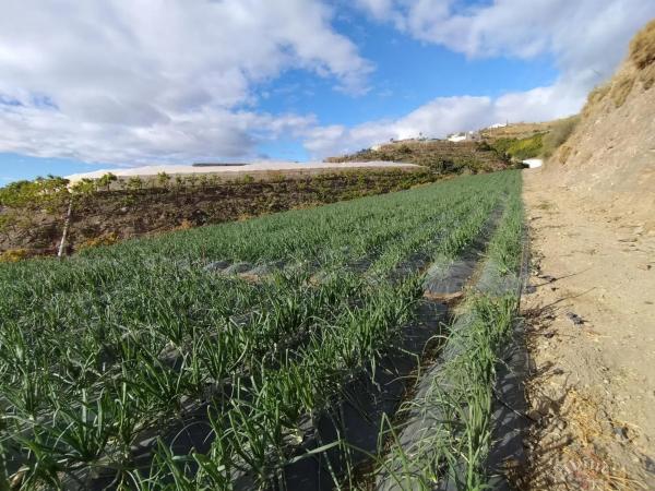 Terreno en Algarrobo