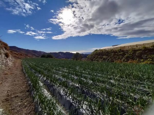 Terreno en Algarrobo