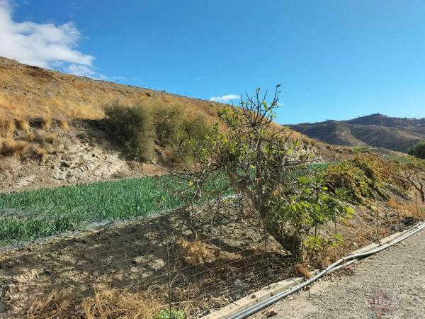 Terreno en Algarrobo