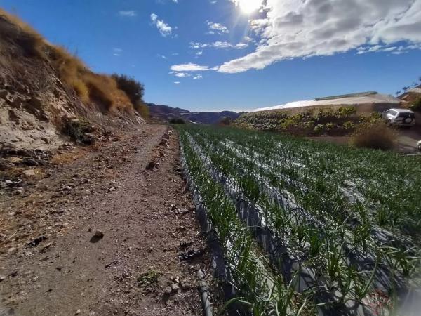 Terreno en Algarrobo