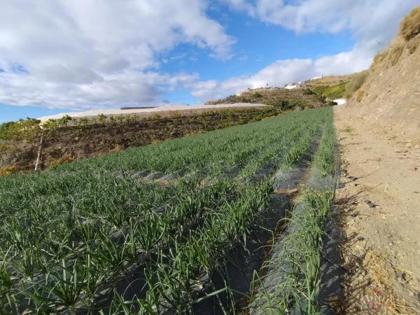 Terreno en Algarrobo