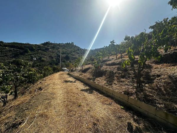 Terreno en Algarrobo