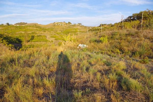 Terreno en Algarrobo