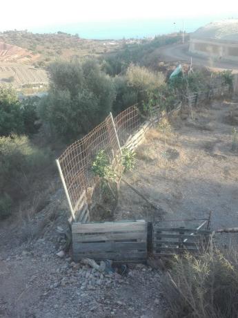 Terreno en carretera almayate s/n