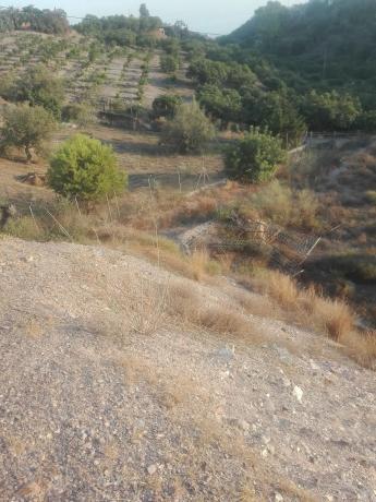 Terreno en carretera almayate s/n