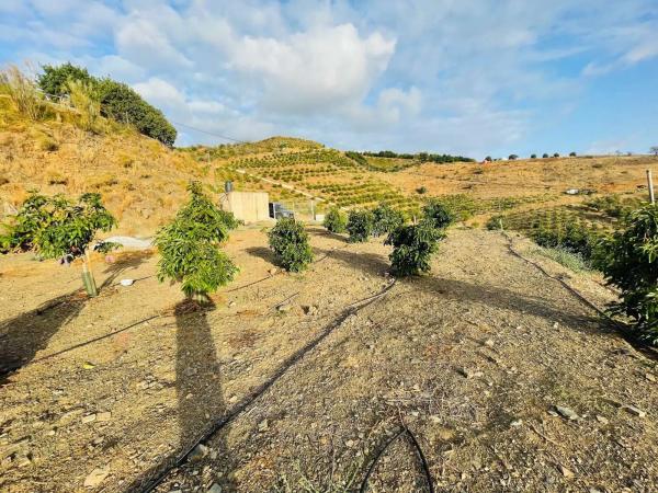 Terreno en Almayate Bajo