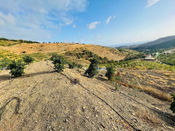 Terreno en Almayate Bajo