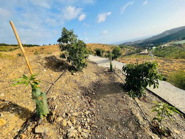 Terreno en Almayate Bajo