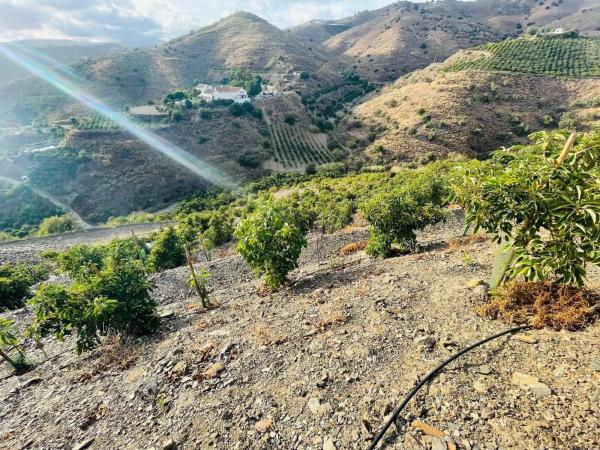 Terreno en Almayate Bajo