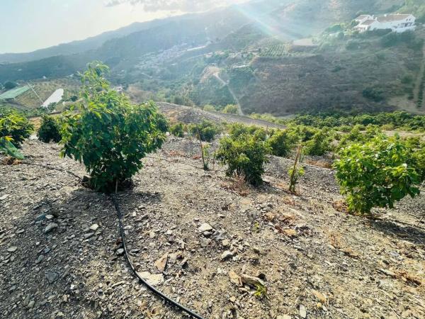 Terreno en Almayate Bajo