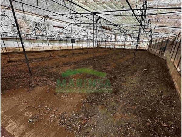 Terreno en Vía, 281