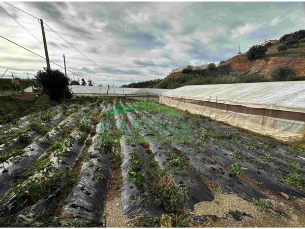 Terreno en Vía, 281