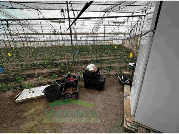 Terreno en Vía, 281