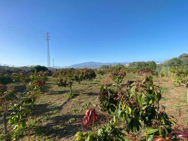 Terreno en Lugar Los Toscanos, 48 d