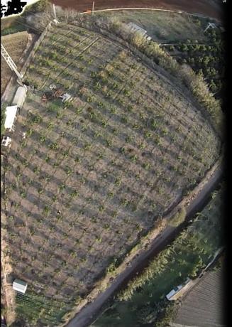 Terreno en Lugar Los Toscanos, 48 d