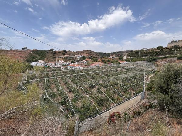 Terreno en Cortijo los Mananas, 5