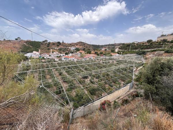 Terreno en Cortijo los Mananas, 5