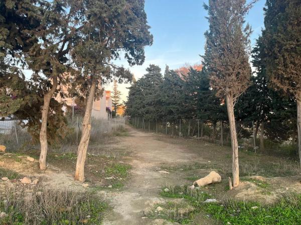 Terreno en calle Fresas s/n