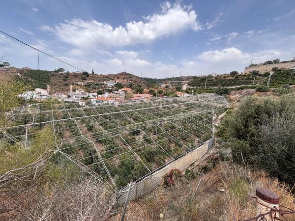 Terreno en Cortijo los Mananas, 5