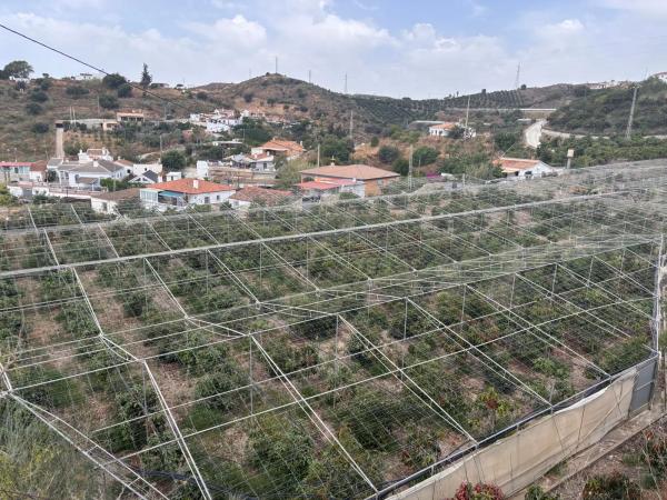Terreno en Cortijo los Mananas, 5
