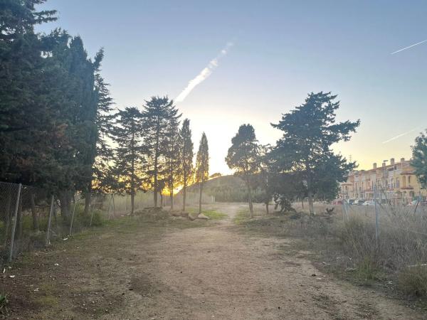 Terreno en calle Fresas s/n