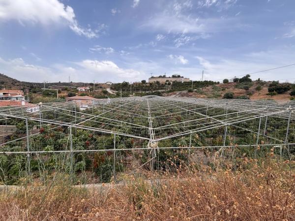 Terreno en Cortijo los Mananas, 5