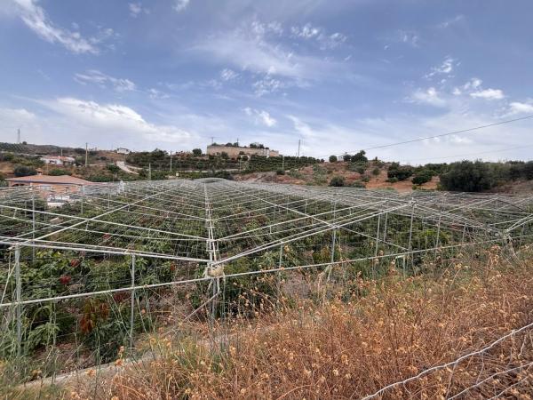Terreno en Cortijo los Mananas, 5