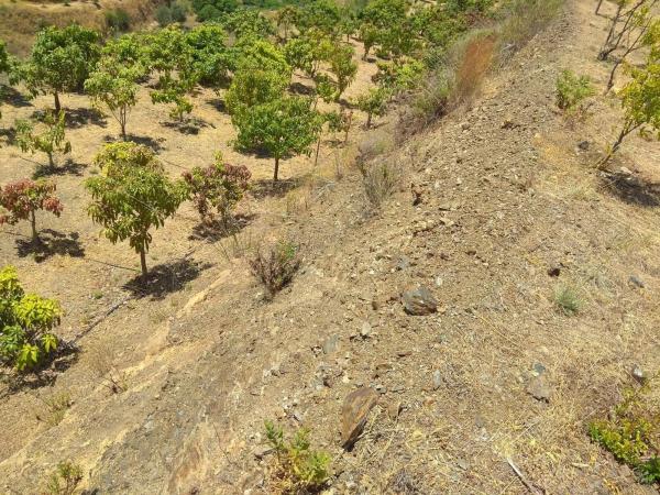 Terreno en Almáchar