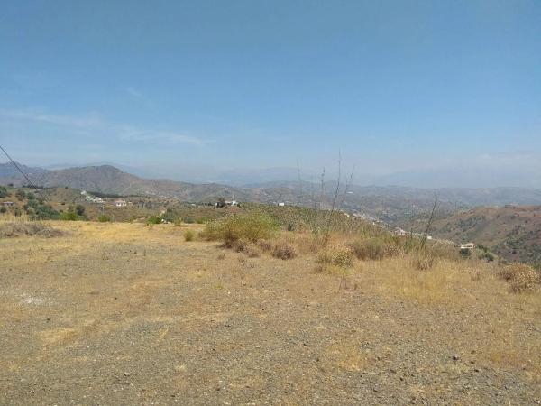 Terreno en Almáchar