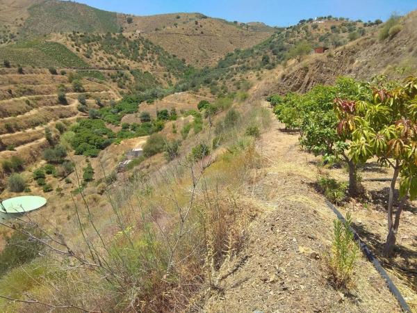 Terreno en Almáchar