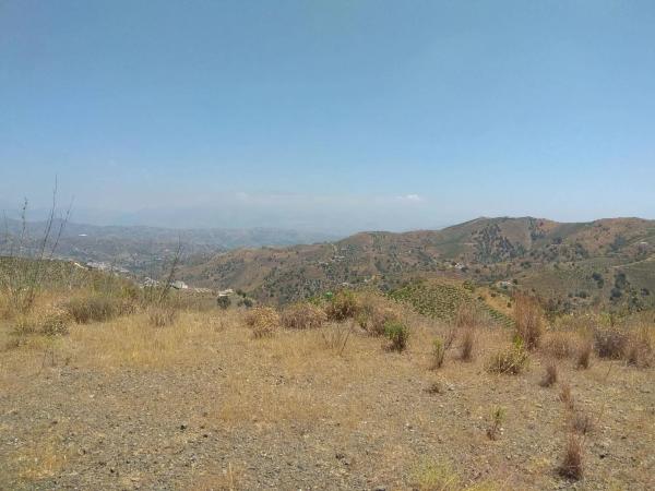 Terreno en Almáchar