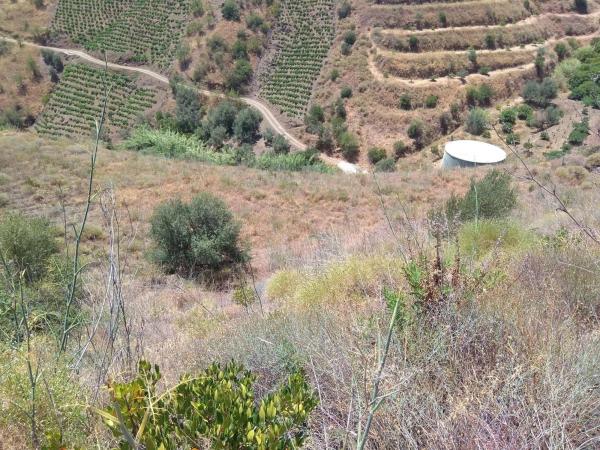 Terreno en Almáchar
