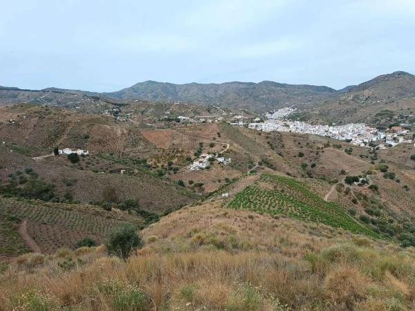 Terreno en Almáchar