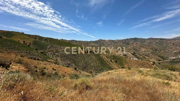 Terreno en poligono 004