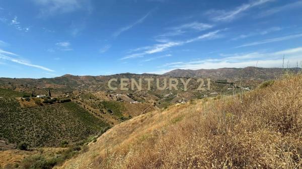 Terreno en poligono 004