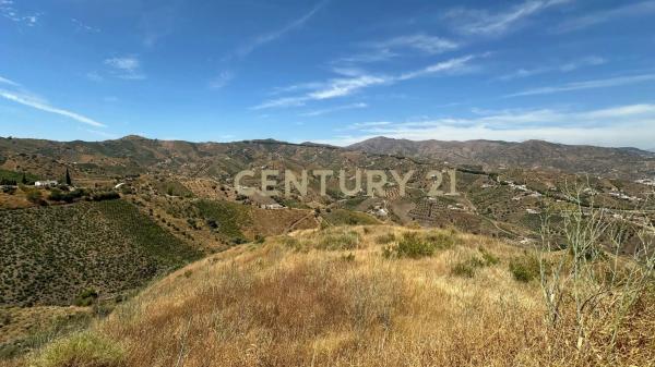 Terreno en poligono 004