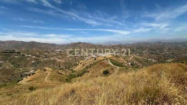 Terreno en poligono 004