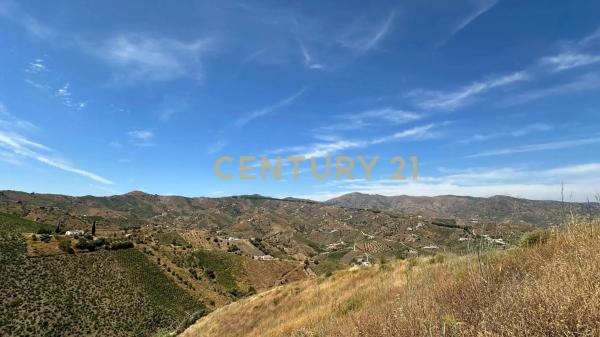 Terreno en poligono 004