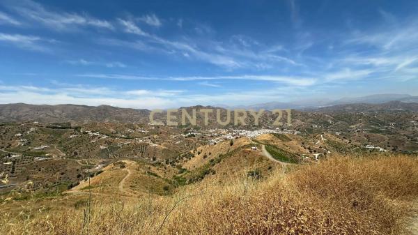Terreno en poligono 004