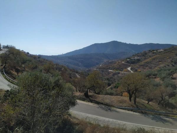 Terreno en Barriada Daimalos