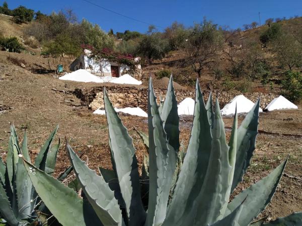 Terreno en Barriada Daimalos