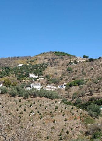 Terreno en Barriada Daimalos