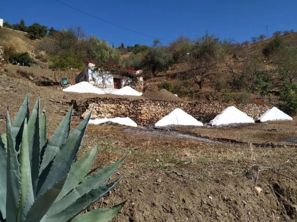 Terreno en Barriada Daimalos