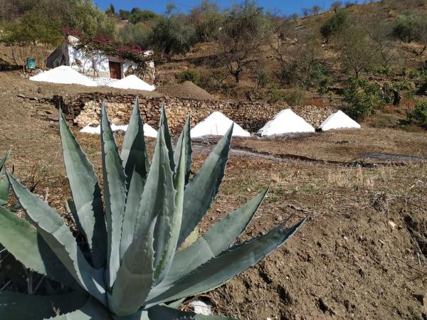 Terreno en Barriada Daimalos