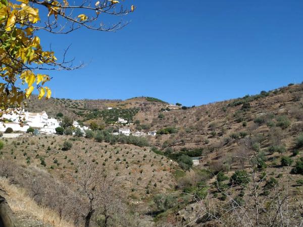 Terreno en Barriada Daimalos