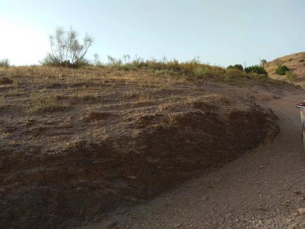 Terreno en Benajarafe