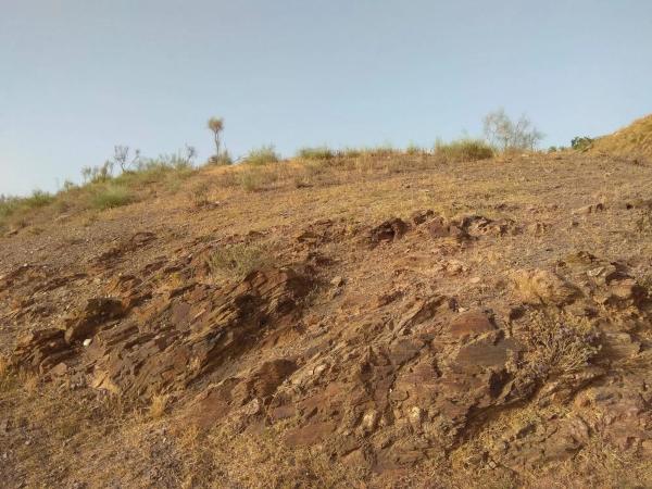 Terreno en Benajarafe